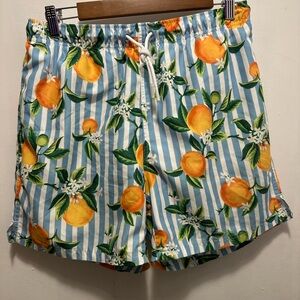 Primark Blue and White Striped Citrus Print Men’s Swim Trunks